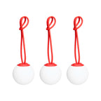 Bolleke Mini Set (3 pcs)