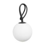 Bolleke